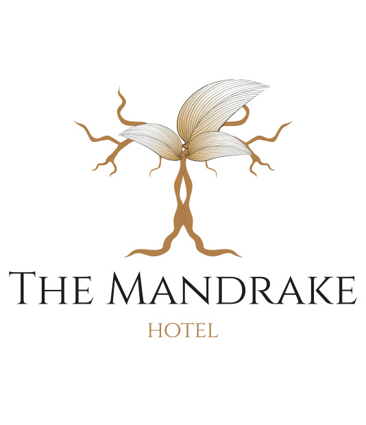 DESTACADA-MANDRAKE