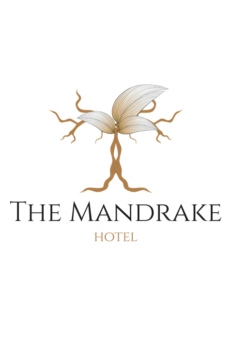 loop-grande-MANDRAKE